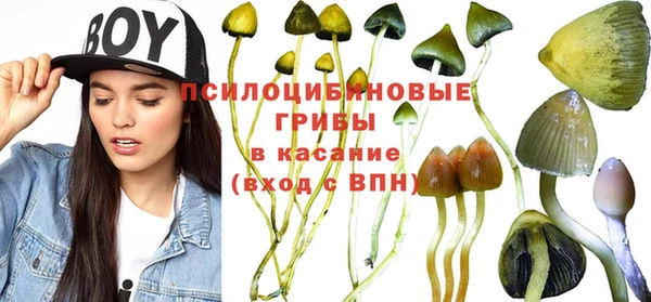 мет Медногорск