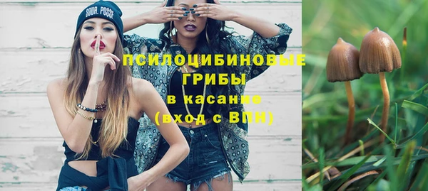 ECSTASY Медвежьегорск