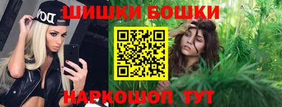 крисы Кунгур