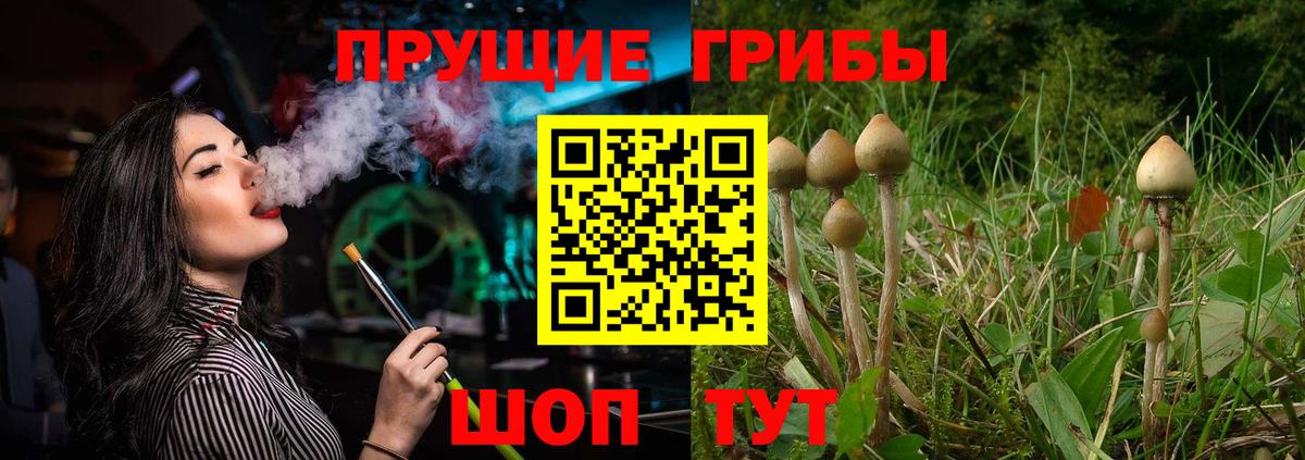 Галлюциногенные грибы мухоморы  Галлюциногенные грибы прущие грибы  что такое наркотик  Учалы  Вход с VPN 